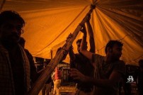 Jallikattu protest across the globe