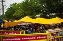 Jallikattu protest across the globe