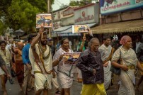 Jallikattu protest across the globe