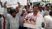 Jallikattu Protests in Chennai & All over Tamil Nadu