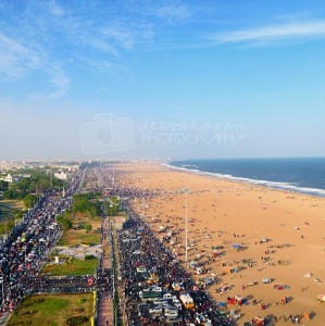 Jallikattu protest across the globe