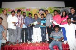 Kadhal Panchayathu Audio Launch