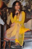 Kochadaiyaan Press Meet