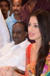 Lakshmi Rai at Shree Niketham Pongal Festival Collections