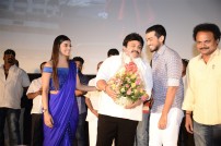 Meen Kuzhambum Manpaniyium Audio launch