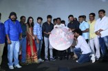 Mosakutty Audio Launch