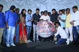 Mosakutty Audio Launch