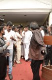Celebrities Pay Homage to MSV
