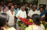 Celebrities Pay Homage to MSV