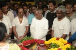 Celebrities Pay Homage to MSV