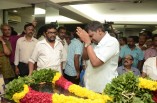 Celebrities Pay Homage to MSV