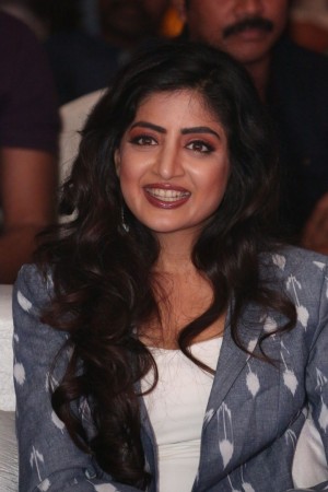 Nakshatram Audio Launch