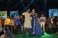 Nenu Local Audio Launch