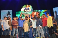 Nenu Local Audio Launch