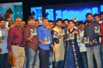 Nenu Local Audio Launch