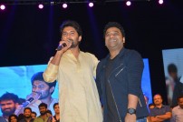Nenu Local Audio Launch