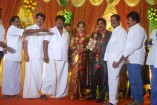 NS Udhayakumar Wedding Reception