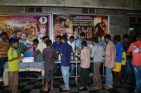 NTR Birthday Celebrations