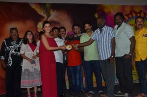 Pakka Teaser Launch