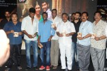 Pandianadu Telugu Audio Launch