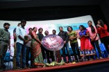 Panthu Audio Launch