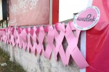 Pink Ribbon Signature Campaign