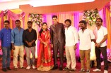 Producer SR Prabhu Wedding Reception