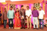 Producer SR Prabhu Wedding Reception