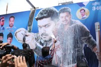Puli Celebrations