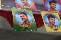 Puli Celebrations