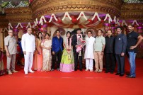Raviprasad's Grand Daughter Wedding Photo