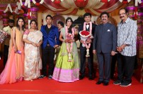 Raviprasad's Grand Daughter Wedding Photo