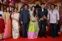 Raviprasad's Grand Daughter Wedding Photo