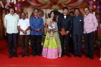 Raviprasad's Grand Daughter Wedding Photo