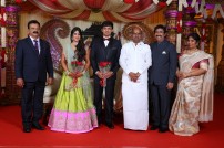 Raviprasad's Grand Daughter Wedding Photo