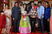 Raviprasad's Grand Daughter Wedding Photo