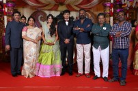 Raviprasad's Grand Daughter Wedding Photo