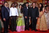 Raviprasad's Grand Daughter Wedding Photo