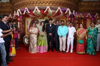 Raviprasad's Grand Daughter Wedding Photo