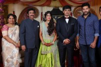 Raviprasad's Grand Daughter Wedding Photo
