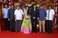 Raviprasad's Grand Daughter Wedding Photo