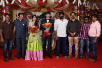 Raviprasad's Grand Daughter Wedding Photo