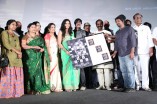 Sathuranga Vettai Audio Launch