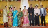 Sathya Jyothi Films TG Thyagarajan son Sendhil Wedding Reception