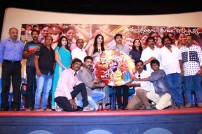 Saya Audio Launch