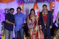 Seenu Ramasamy's sister Anitha wedding reception photos