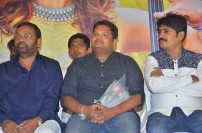 Selvi Audio Launch