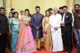 Shanthanu - Keerthi Wedding Reception