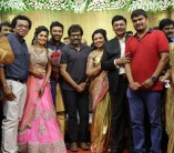 Shanthnu - Keerthi Wedding Reception