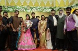 Shanthanu - Keerthi Wedding Reception